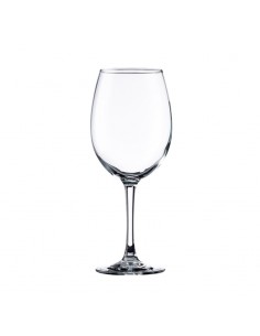 COPA VINO SYRAH TEMPLADA 19 oz